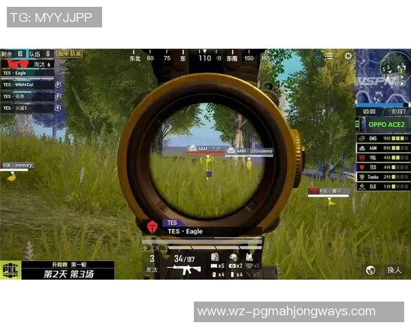 和平精英心理素质排行榜揭晓TES荣获第二名引发热议